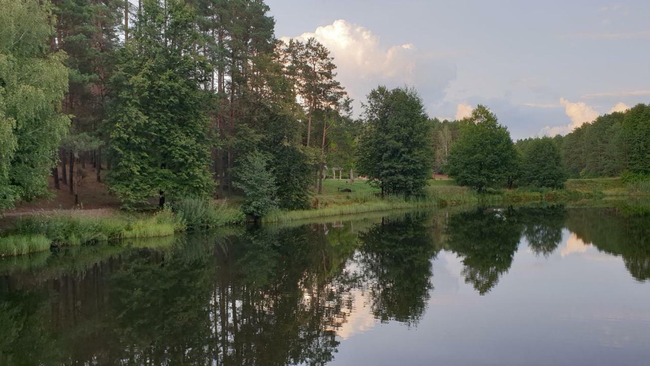 Garden Studio By The Lake With Air-Con And Infrasauna ドルスキニンカイ エクステリア 写真